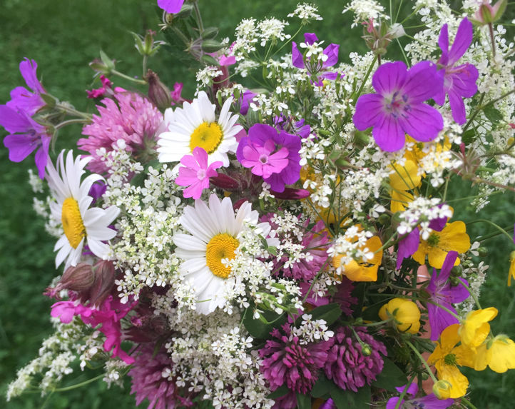 HSK; sommerblomster