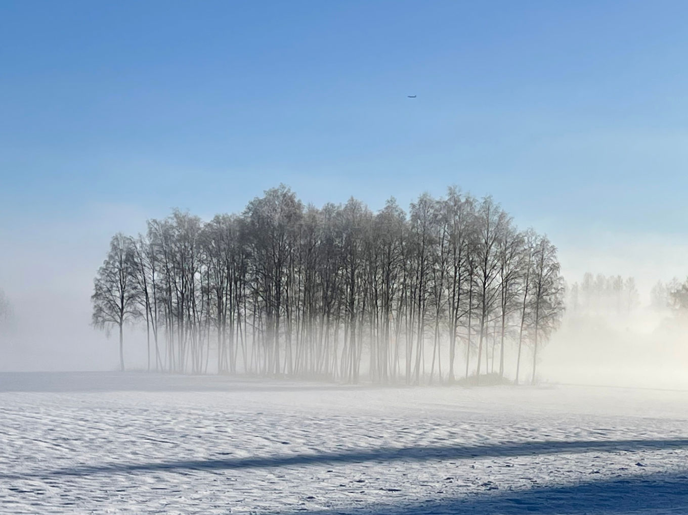 Heidi S Kristoffersen; Vinter på Mosletta