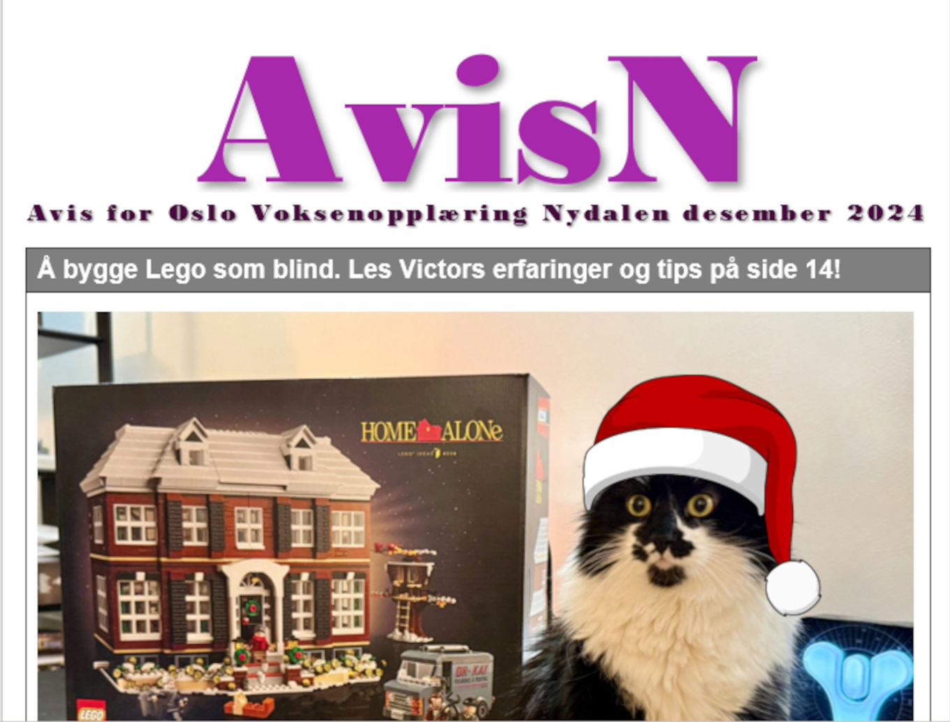 En hund iført nisselue