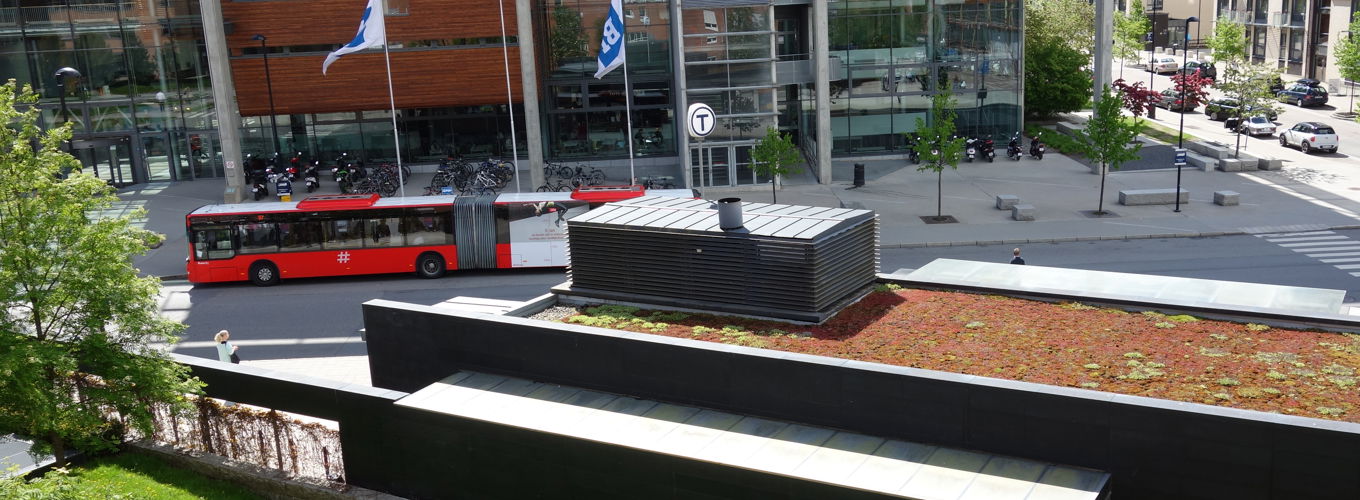 Foto: transport transport